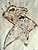 Art Gallery Painting, Acrylbild 3